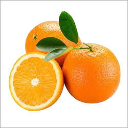 Fresh Orange Fresh Orange