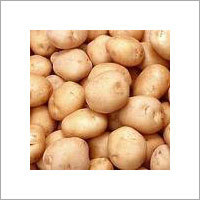 Fresh Potatoes Fresh Potatoes