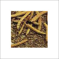 Guar Gum Seeds Guar Gum Seeds