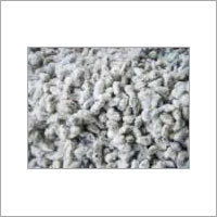 Cotton Seeds Cotton Seeds