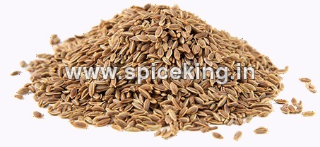 Dill Seed Dill Seed