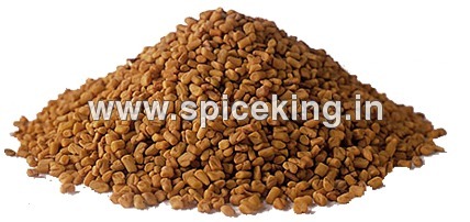 Fenugreek Fenugreek