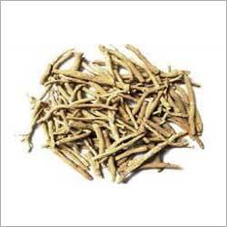 Ashwagandha Ashwagandha