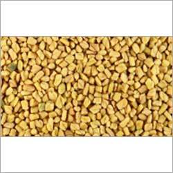 Fenugreek Fenugreek