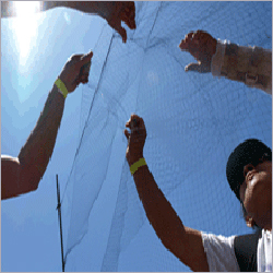 Bird Protection Net Bird Protection Net