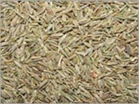 Natural Cumin Seeds Natural Cumin Seeds