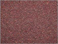 Black Mustard Seeds Black Mustard Seeds