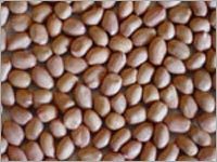 Peanuts Peanuts