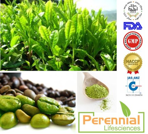 Green Coffee Extract 60% Chlorogenic acids Green Coffee Extract 60% Chlorogenic acids