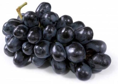 Fresh Black Grapes Fresh Black Grapes