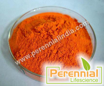 Nature Food Color Curcumin Nature Food Color Curcumin