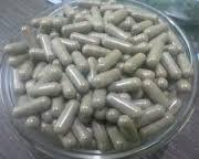 Brahmi Bacopa Extract Capsules Brahmi Bacopa Extract Capsules