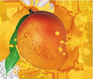 Pulp And Purees Pulp And Purees