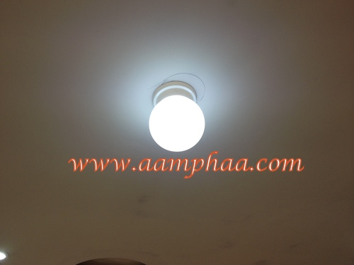 White Coloured Light Bulbs White Coloured Light Bulbs