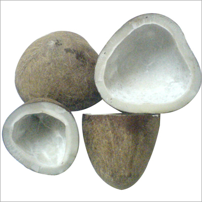 Dry Coconut Copra Dry Coconut Copra