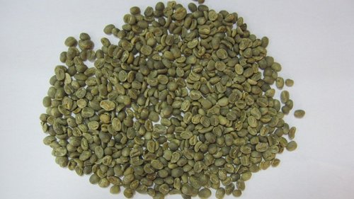 Coffee Beans Robusta PB Coffee Beans Robusta PB