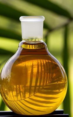 Refined Castor Oil Pale Pressed Grade Refined Castor Oil Pale Pressed Grade