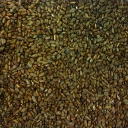 Cassia Tora Seed Cassia Tora Seed