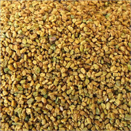 Fenugreek Seed Fenugreek Seed
