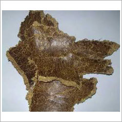 Cattle Feed Cattle Feed