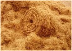 Coir Fibre Coir Fibre