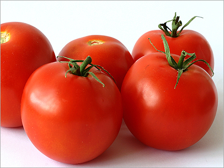 Fresh Red Tomatoes Fresh Red Tomatoes