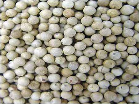 White Pepper White Pepper
