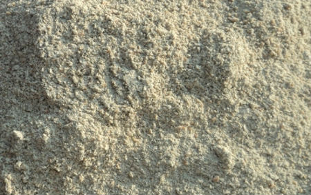 Sesbania Powder Sesbania Powder