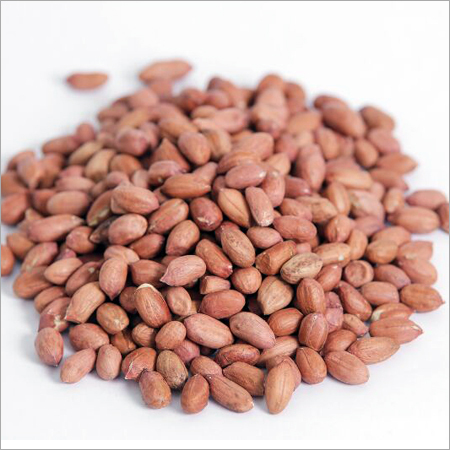 Groundnut Kernel Groundnut Kernel