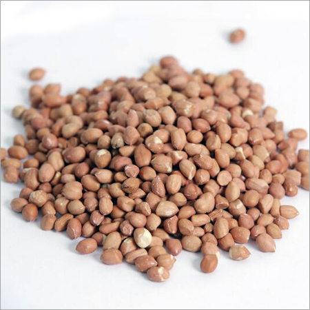 Indian Groundnut Kernels Indian Groundnut Kernels