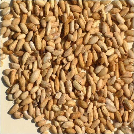 Side Effects Of Neem Soap