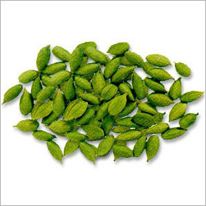Green Cardamom Green Cardamom