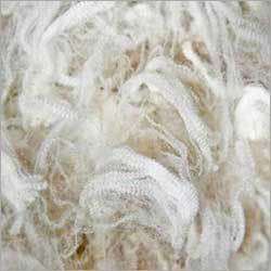 Raw Wool Raw Wool