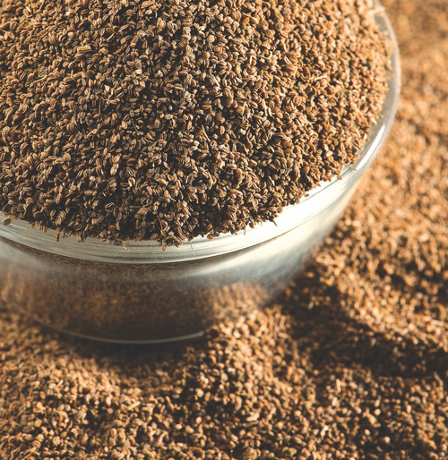 Celery Seeds Celery Seeds