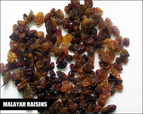 malayar raisins malayar raisins
