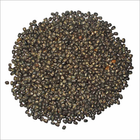 Sabut Urad Sabut Urad