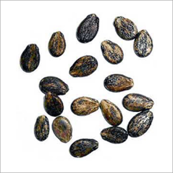 Watermelon Seeds Watermelon Seeds