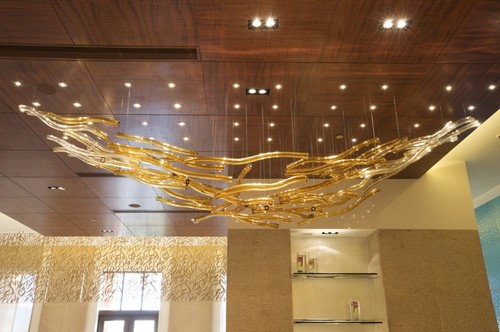 Ceiling Light Ceiling Light