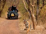 Programme III : Tiger Tour – North and Central In Programme III : Tiger Tour – North and Central In