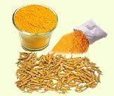 Spices Manufacturer of Delhi Spices Manufacturer of Delhi