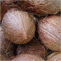 Dried Coconut Dried Coconut