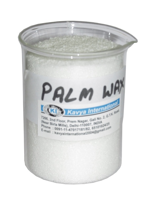 Palm Wax Palm Wax