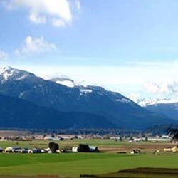 Commercial Landscape Commercial Landscape