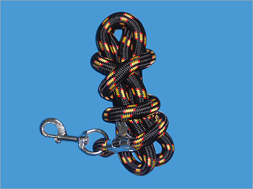 Dog Collar Lead Dog Collar Lead