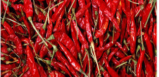 Red Chilli Red Chilli
