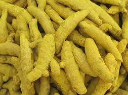 Turmeric Finger Turmeric Finger
