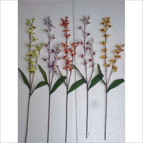 Orchid Orchid
