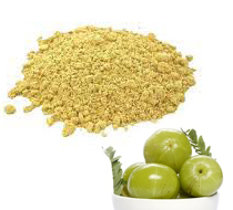 Amla Powder Amla Powder