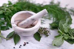 Bhringraj Powder Bhringraj Powder