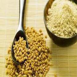 Fenugreek Powder Fenugreek Powder